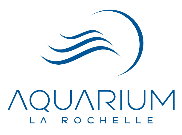 image d'une référence